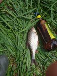 IMG_20260531_115614_1.jpg