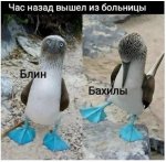 WA_1780678115372.jpeg