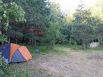 IMG_20260622_185049.jpg