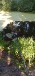 IMG_20260703_064149_1.jpg
