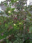 IMG_20260705_091633.jpg