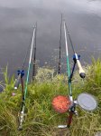 IMG_20260708_104820.jpg