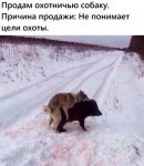 {$title}