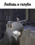 {$title}