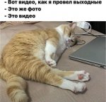 {$title}