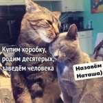 {$title}
