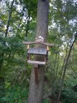 {$title}