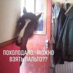 {$title}