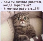 {$title}