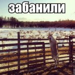 {$title}