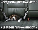 {$title}