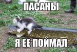 {$title}