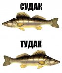 {$title}