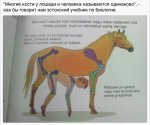{$title}