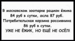 {$title}