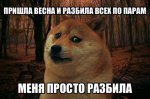 {$title}