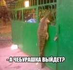 {$title}