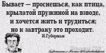 {$title}