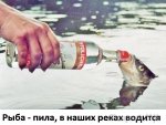 {$title}