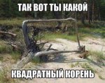 {$title}