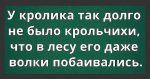 {$title}