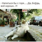 {$title}