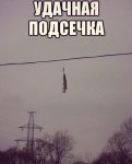 {$title}