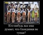 {$title}