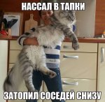 {$title}