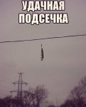 {$title}