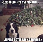{$title}