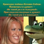 {$title}