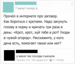 {$title}