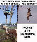 {$title}