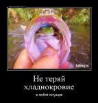 {$title}