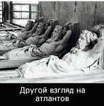 {$title}