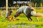 {$title}