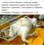 {$title}