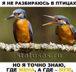 {$title}