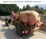 {$title}