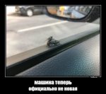 {$title}