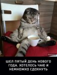{$title}