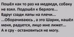 {$title}