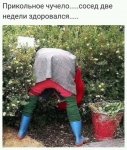{$title}