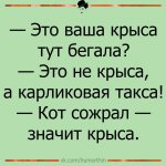 {$title}