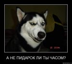 {$title}