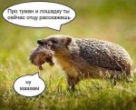 {$title}