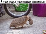 {$title}