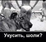 {$title}