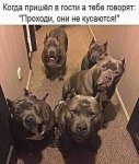 {$title}